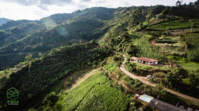 Finca el Regalo